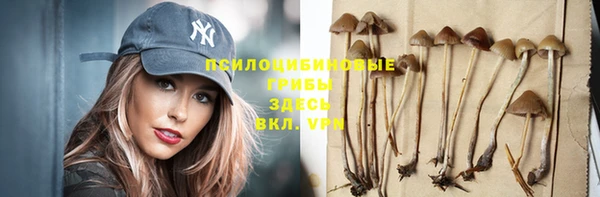 дмт Кодинск