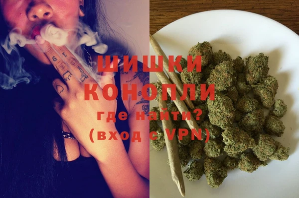 мдпв Козловка