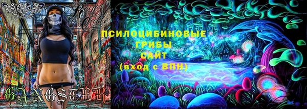 мдпв Козловка