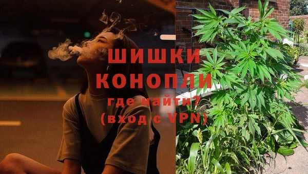 мдпв Козловка